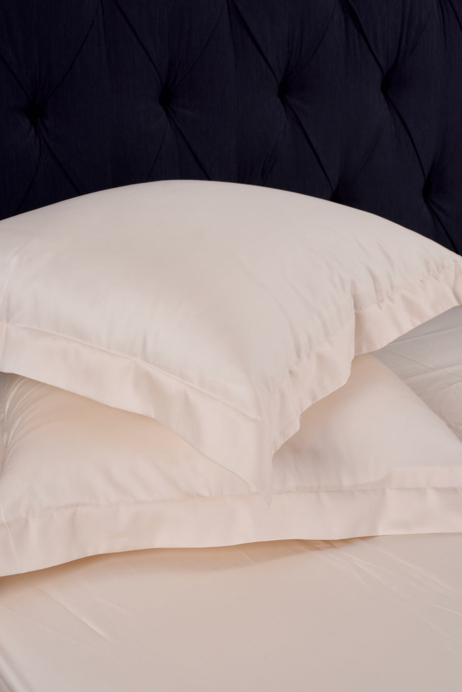 Sia Beige Euro Sham